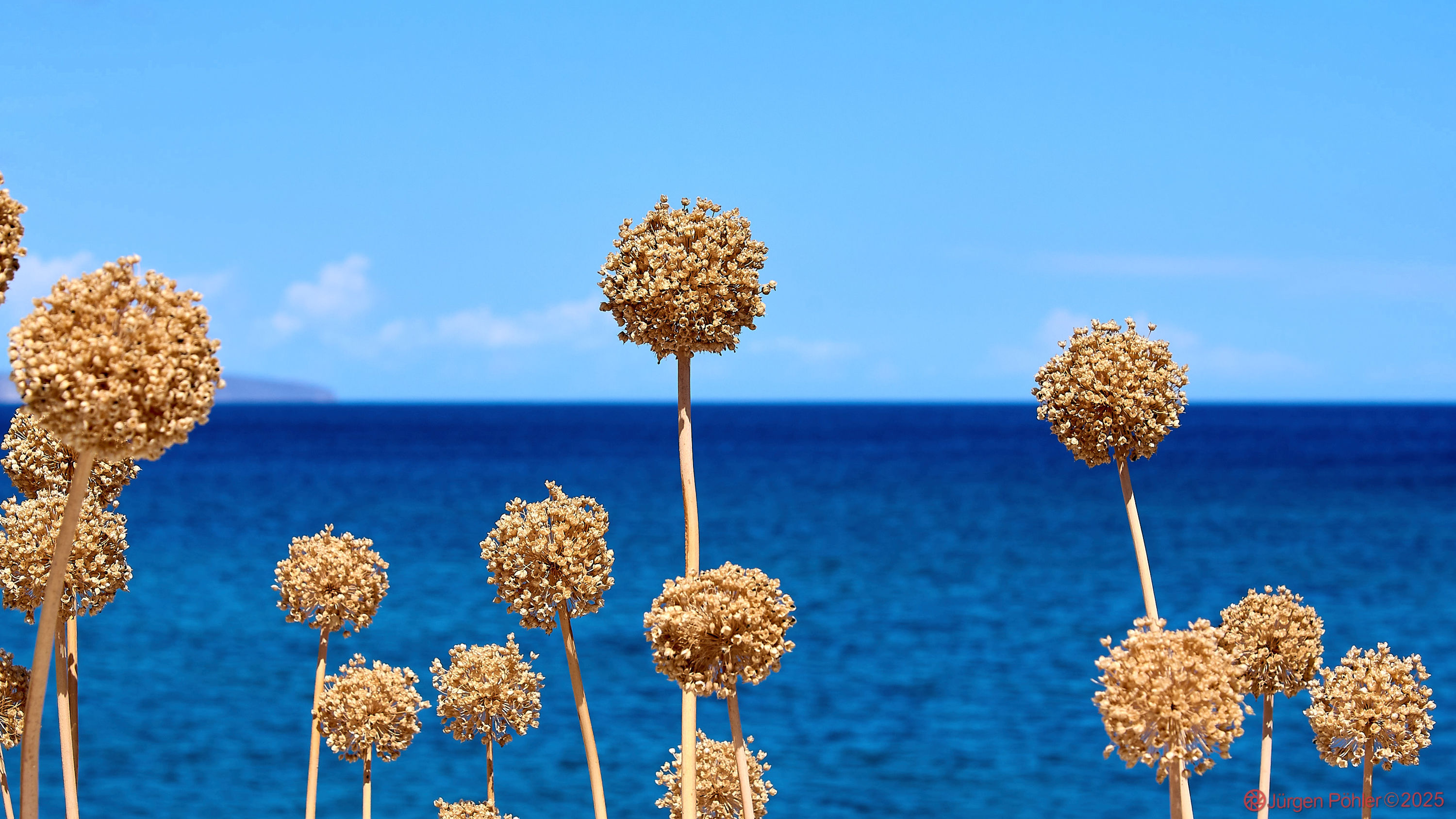 20240911 NIKON D500 123755